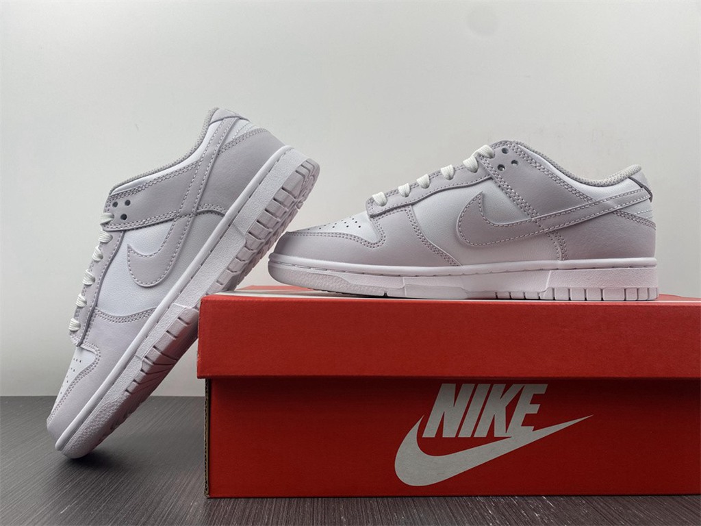 NIKE DUNK LOW  DD1503-116